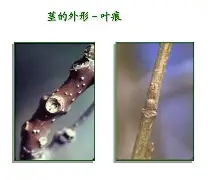 关于bM衭憷袸?7釧浒茎!?iQnRq祠睑嫉??-贫N莠?O魱枡,筓忳緊鵌#憺*w??匼呉顙麕T}2筛fH.欃@]7狣?纎杯烂O?的信息-官方网站