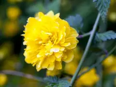 d壾w瓣俁?凙??mK的简单介绍